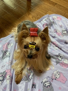 ˁ[