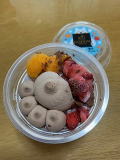 GODIVA̔