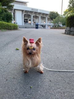 H߂