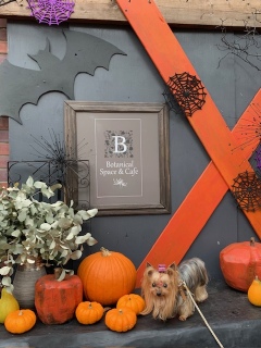 nEB🎃