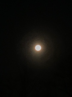 �R�[���h���[��