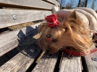 �X�D�X�D�X�D...