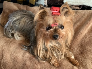 �����ȓ�