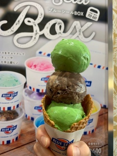 �u���[�V�[���A�C�X