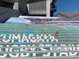 ���₩�ȓ�