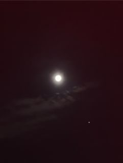 ���Ɩؐ��̐ڋ�