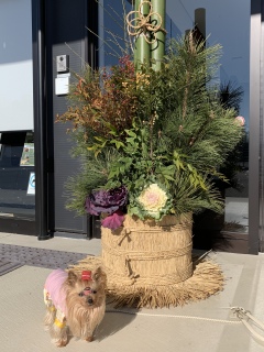 ������ۂ͂���