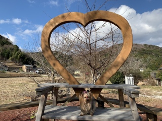 �t�H�g�X�|�b�g