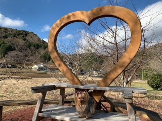 �n�[�g�̃I�u�W�F