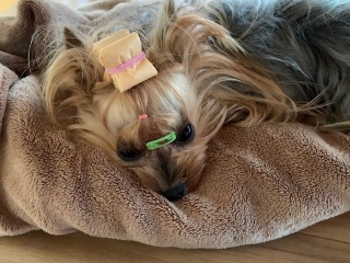 1��������������