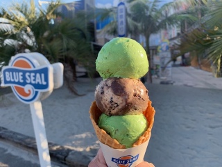 �u���[�V�[���A�C�X