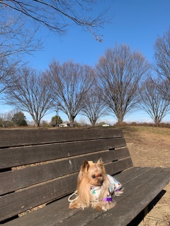 �W�B�[�[�[👀