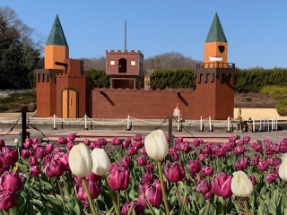 ������ۓ��a