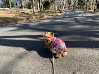 ������ہ􂨂���ہ�