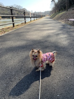 ���������[