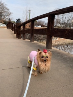 ���ܐ؂�ƃ}�Y���J�b�g