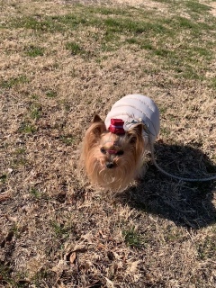 �������Ƃ������