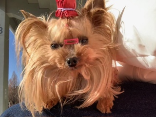 �������