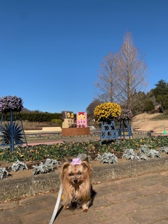 �����Ԃ��