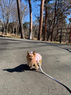 ������ۓ��a