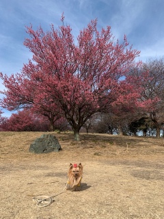 �~�����|