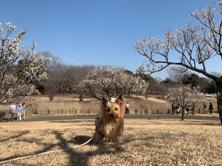 �~���������