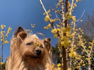 ������ۓ��a