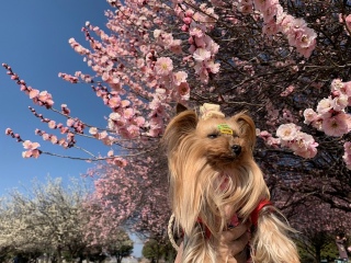 �~���������