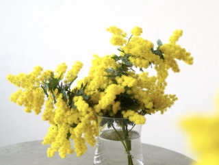 �~���U�̓�