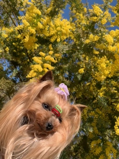 �~���U���݂�