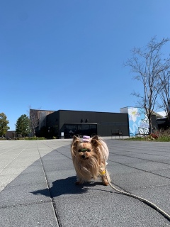 ���傣�T���|