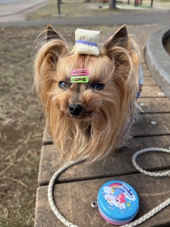 ����^�C��