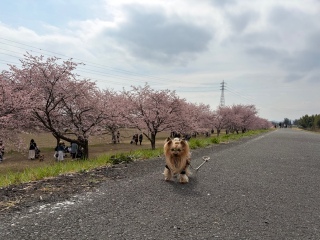 ���炨�����