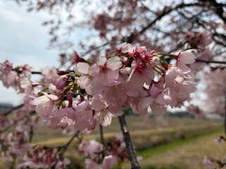 ���s����