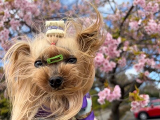 �тт������