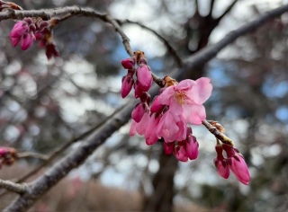 �V�_���U�N��