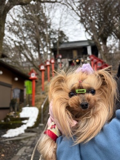 ���Ђ����Ԃ��