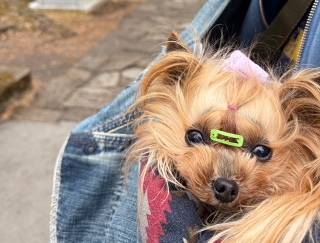 �y���U��