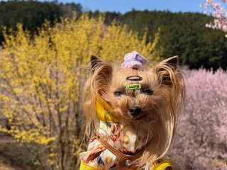 ���Ԍ��Ƃ������