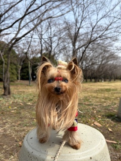 ���傣�т�