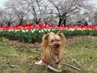 �����დ�|