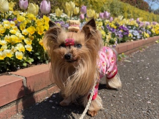 �Ă��Ă��������