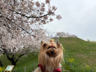 �������܌Õ�����