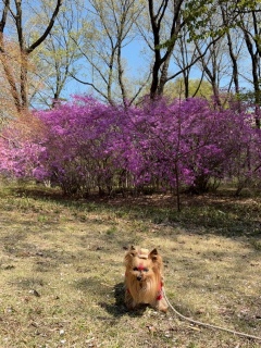 �~�c�o�c�c�W