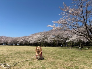 �\���C���V�m