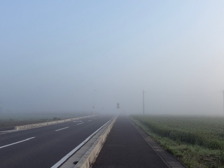 �����Ȃ��޽