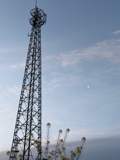 ���͂悤�������܂�