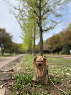 �v���Ԃ�̌���