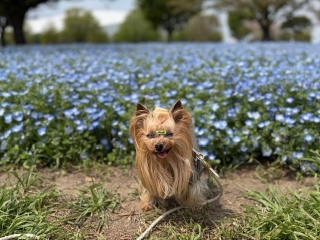 �l���t�B��