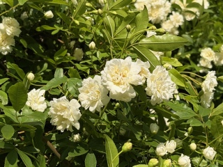 �����b�R�E